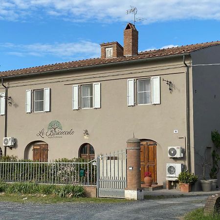 Agriturismo Le Biricoccole Vada Eksteriør bilde