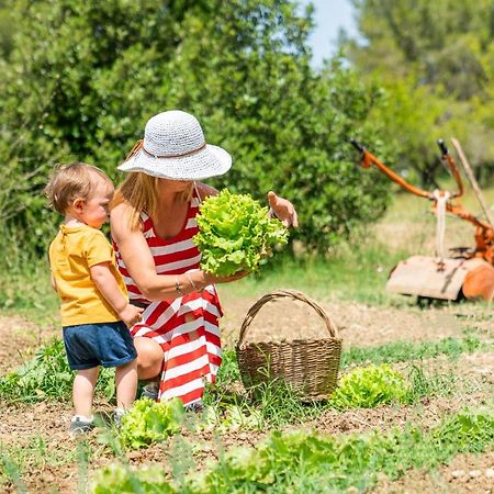 Agriturismo Le Biricoccole Vada Eksteriør bilde