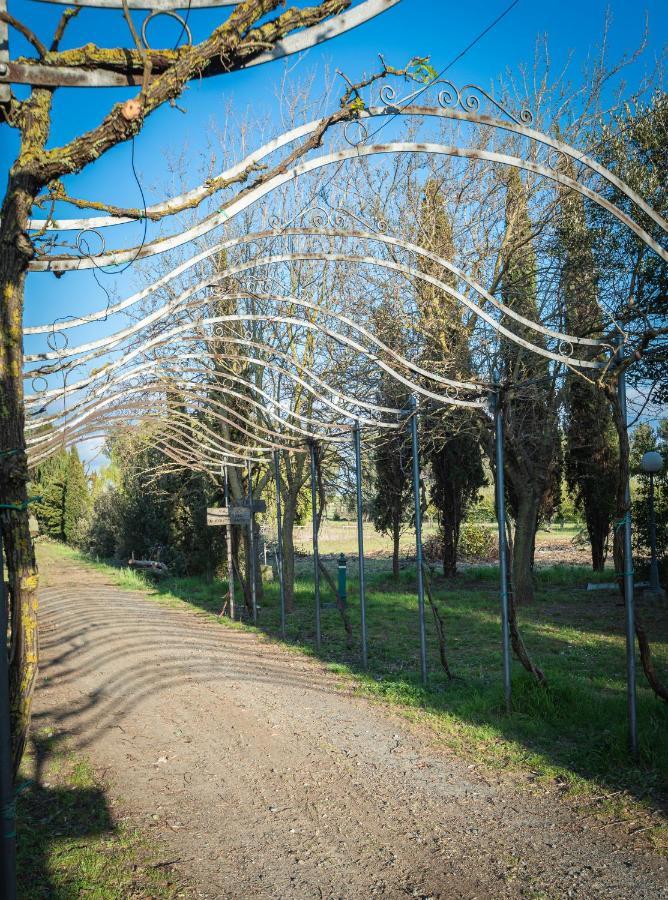 Agriturismo Le Biricoccole Vada Eksteriør bilde