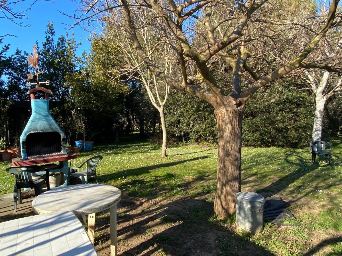 Agriturismo Le Biricoccole Vada Eksteriør bilde