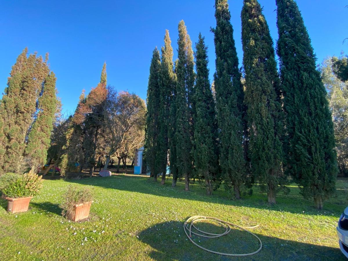 Agriturismo Le Biricoccole Vada Eksteriør bilde