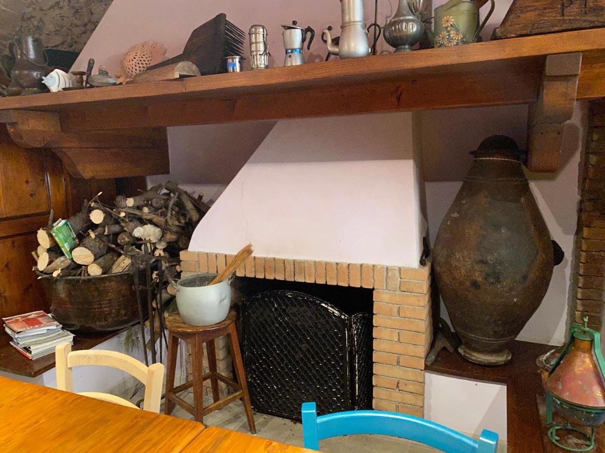 Agriturismo Le Biricoccole Vada Eksteriør bilde