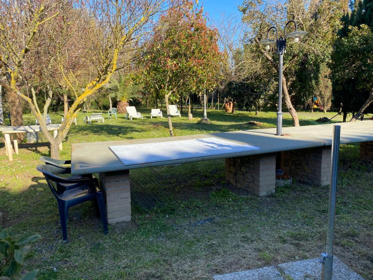Agriturismo Le Biricoccole Vada Eksteriør bilde