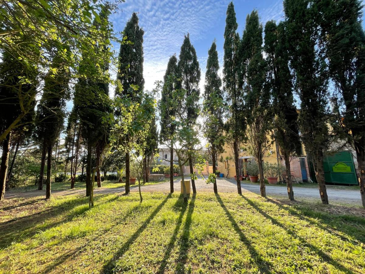 Agriturismo Le Biricoccole Vada Eksteriør bilde