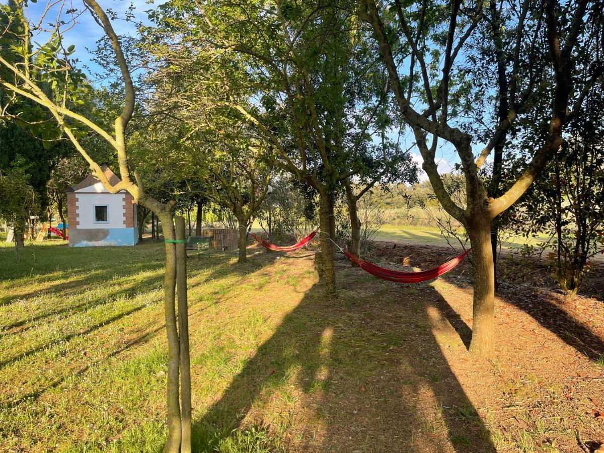 Agriturismo Le Biricoccole Vada Eksteriør bilde