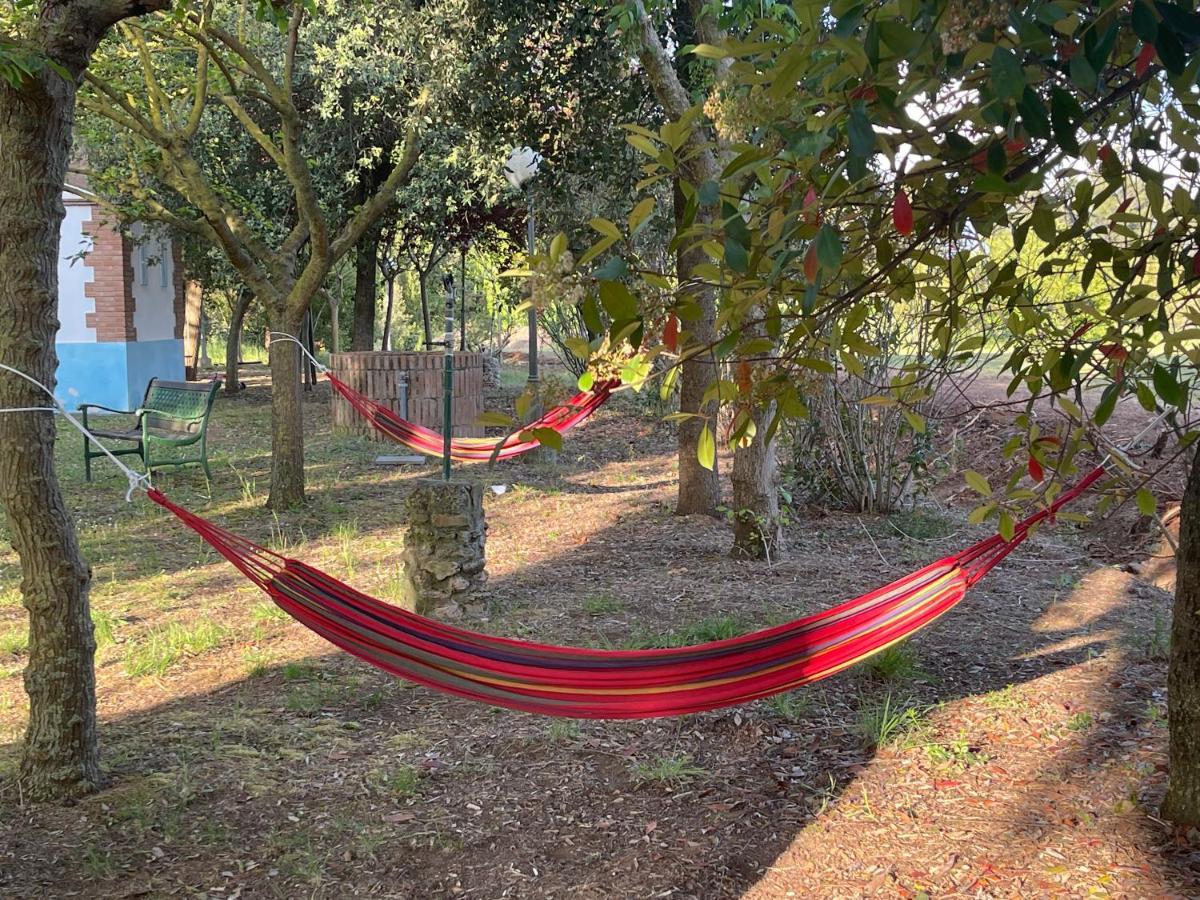Agriturismo Le Biricoccole Vada Eksteriør bilde