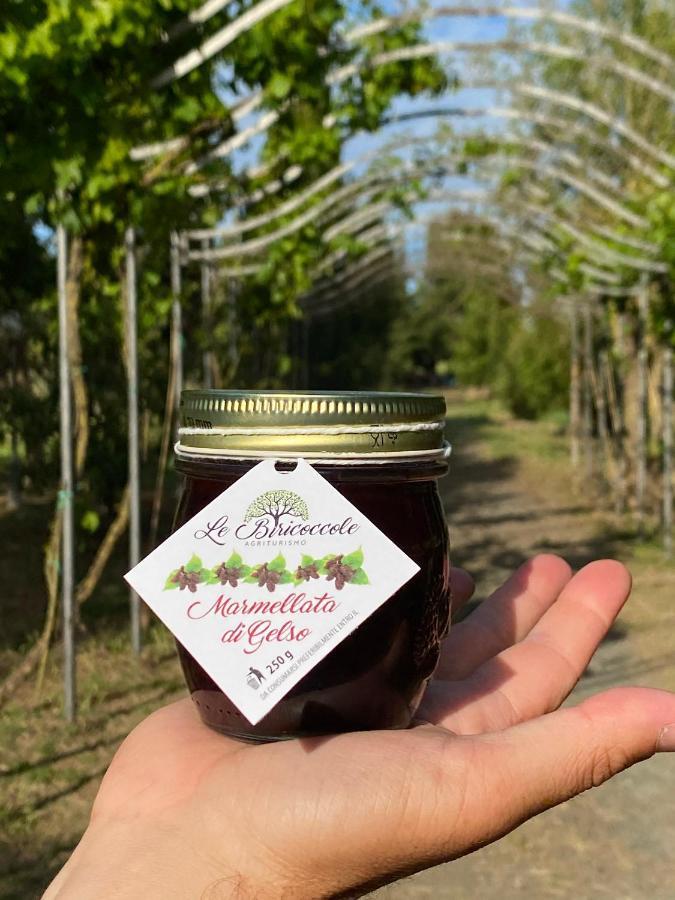 Agriturismo Le Biricoccole Vada Eksteriør bilde