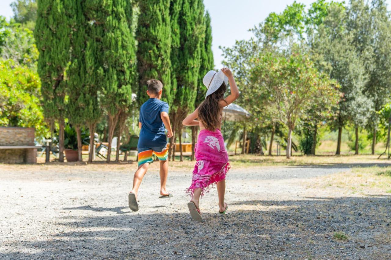 Agriturismo Le Biricoccole Vada Eksteriør bilde