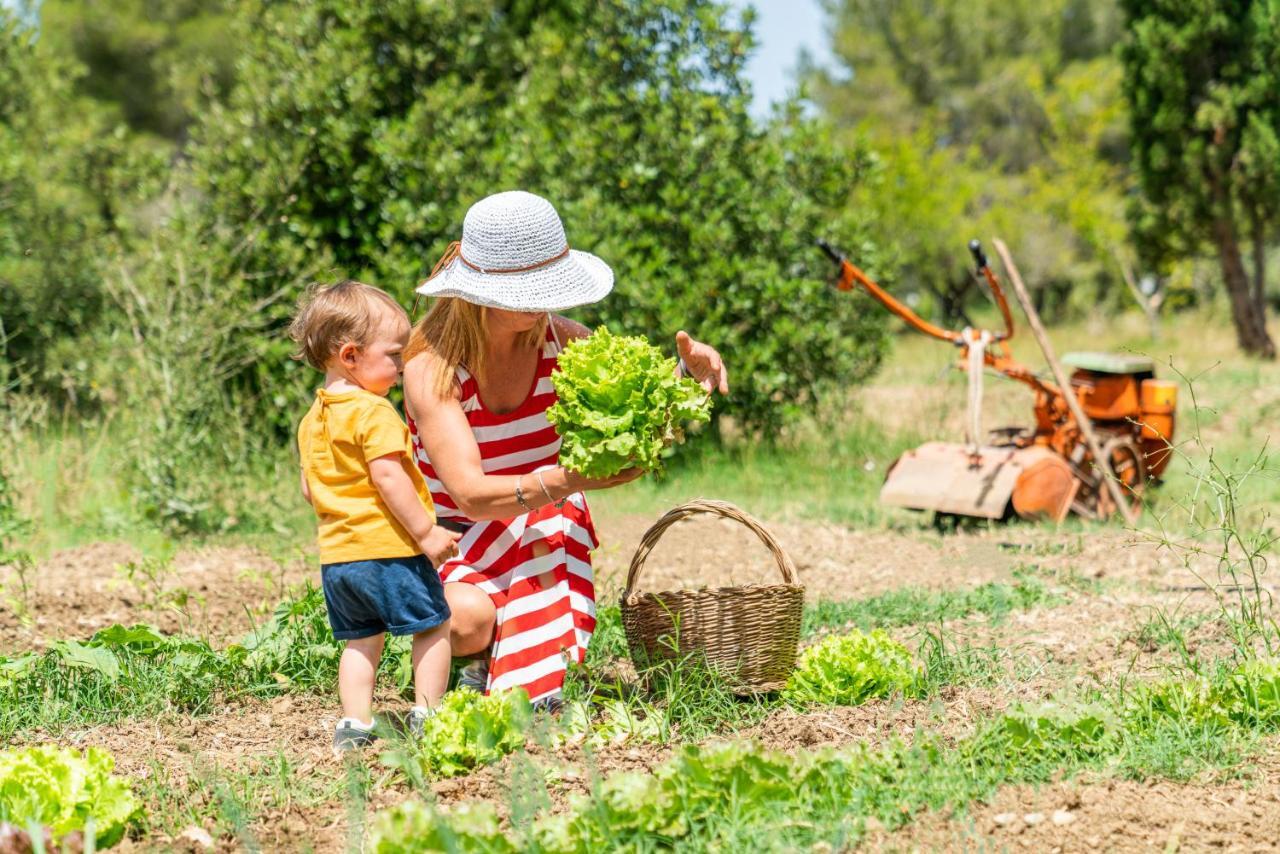 Agriturismo Le Biricoccole Vada Eksteriør bilde