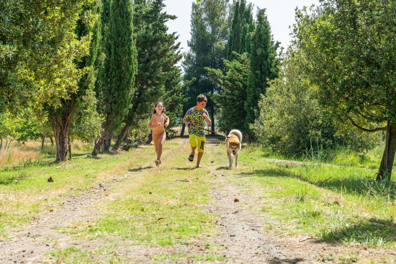 Agriturismo Le Biricoccole Vada Eksteriør bilde