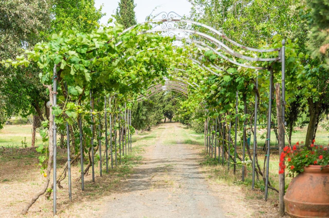 Agriturismo Le Biricoccole Vada Eksteriør bilde