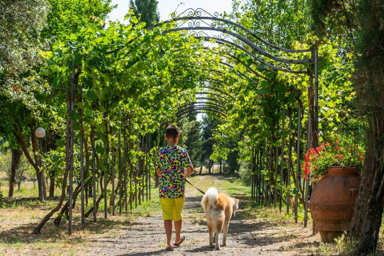 Agriturismo Le Biricoccole Vada Eksteriør bilde