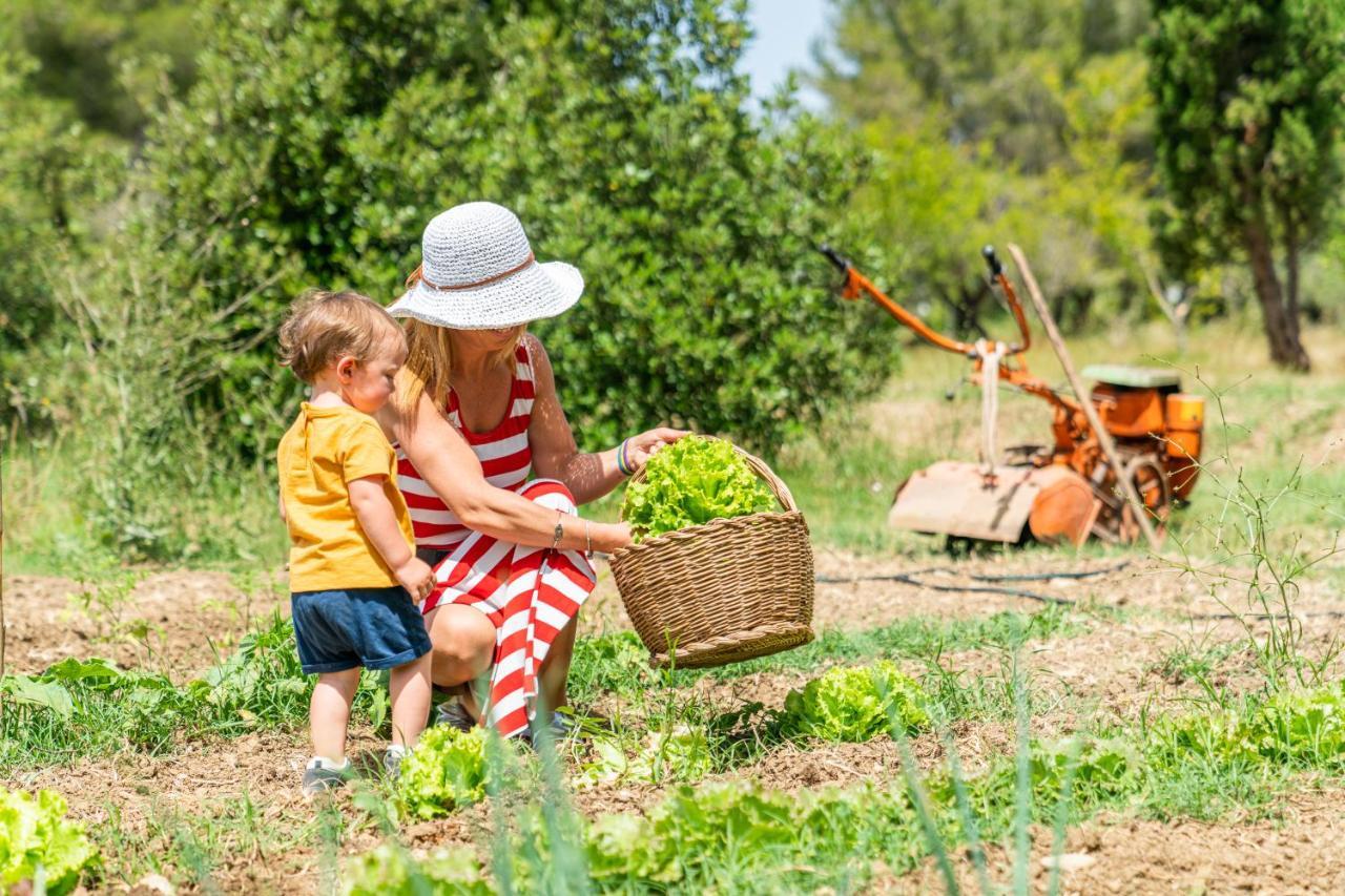 Agriturismo Le Biricoccole Vada Eksteriør bilde